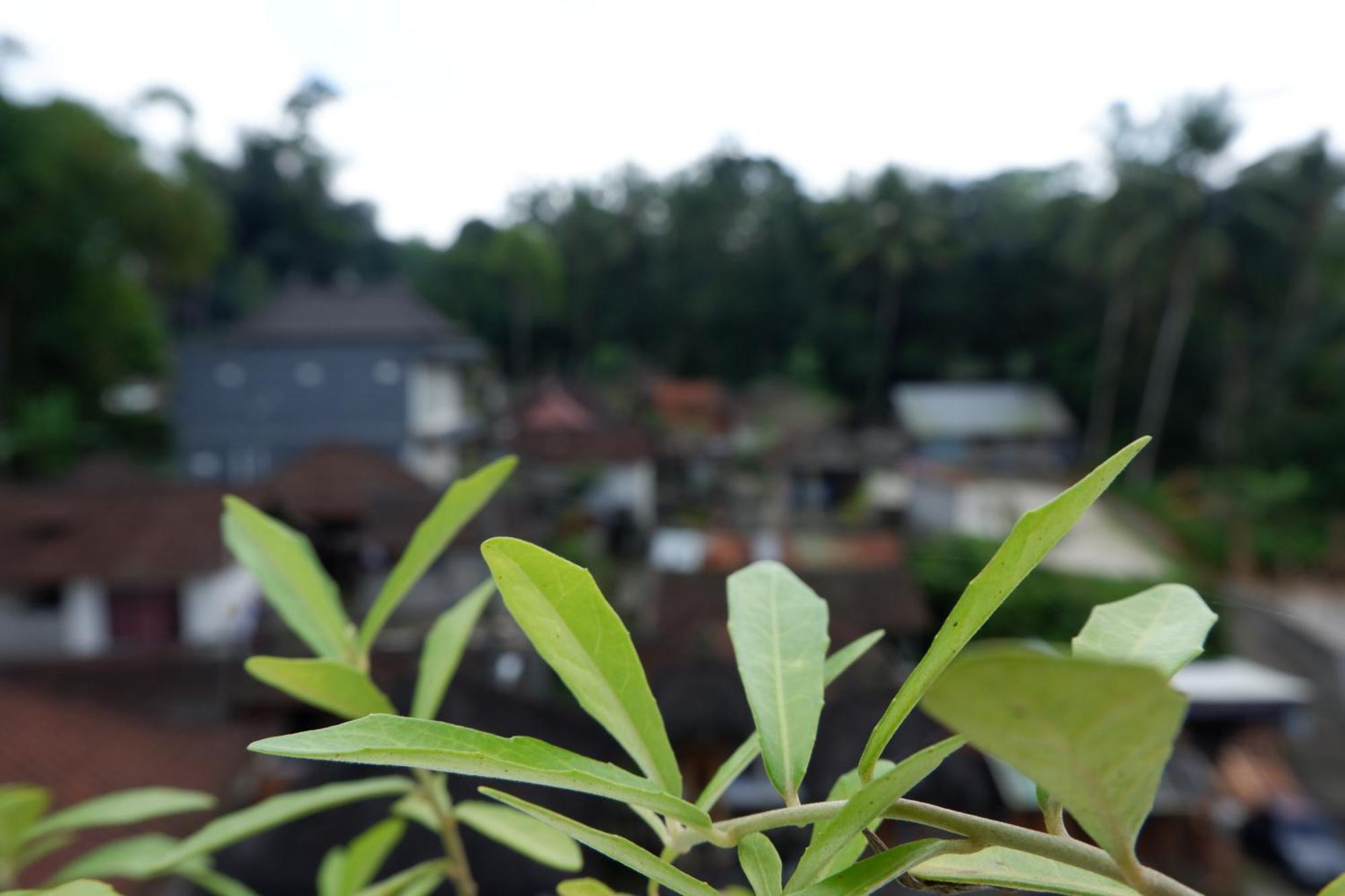 Ramaya Ubud View By Eps Екстериор снимка